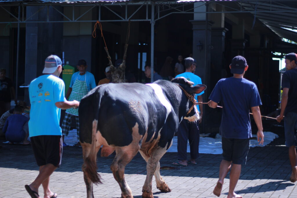 Sukorejo Tertinggi se-Kendal, Lazismu Buktikan Kekuatan Filantropi Umat